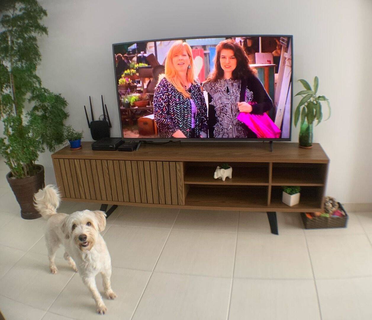 Apartamento, 3 quartos, 92 m² - Foto 5