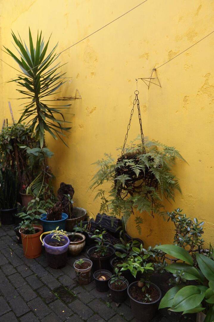 Sobrado, 3 quartos, 194 m² - Foto 21