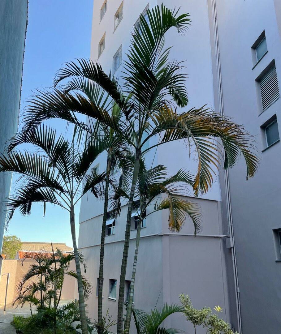Apartamento, 2 quartos, 50 m² - Foto 3