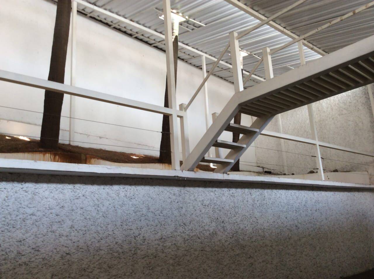 Casa, 4 quartos, 650 m² - Foto 4