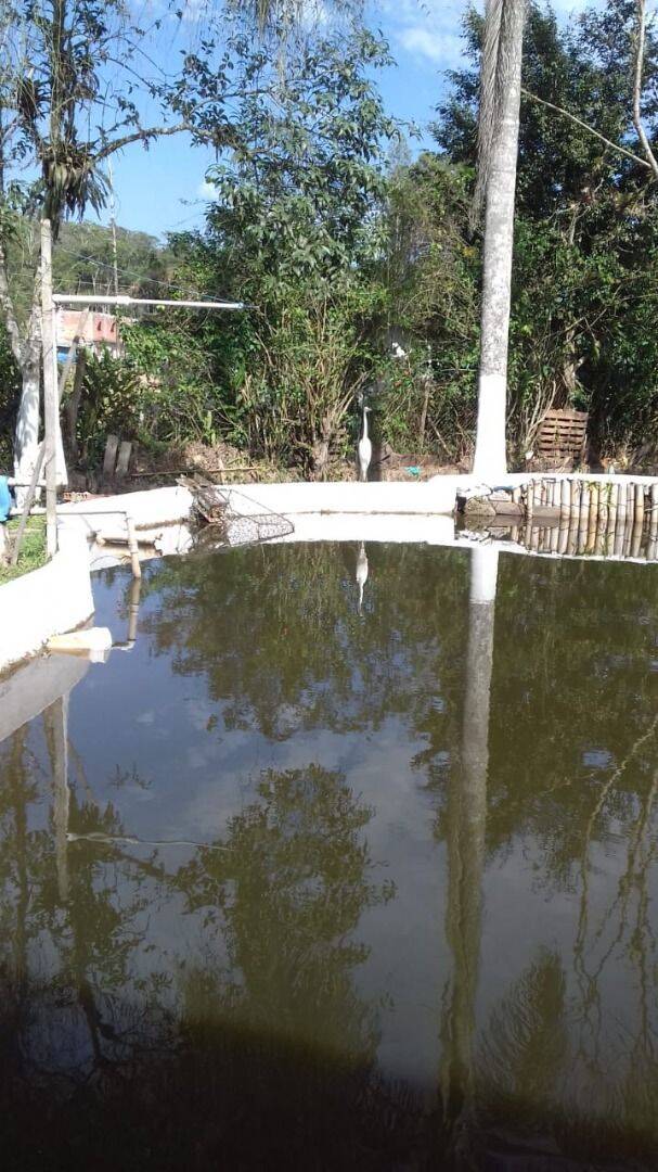 Prédio Inteiro, 400 m² - Foto 7